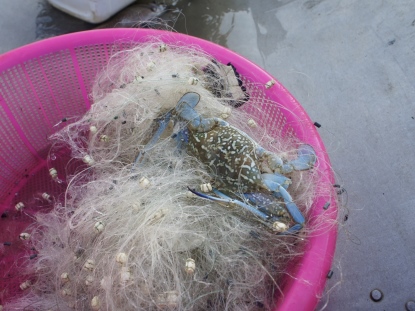 Sea food paradise in Tam Giang Lagoon