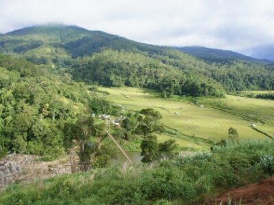 Terraced rice fields of minority people