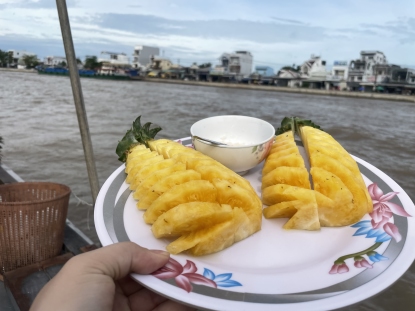 Mekong Delta is fruit kingdom