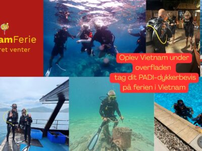 Your Journey, Our Passion Authentic Vietnam, Tailor-Made by Sakima Travel (1)