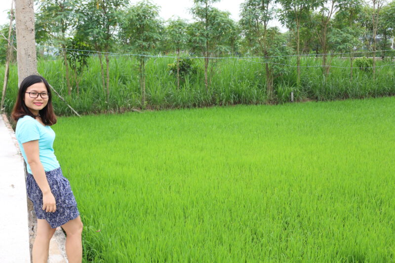 Chien ved en lokal rismark i Mekong deltaet nær Can Tho.