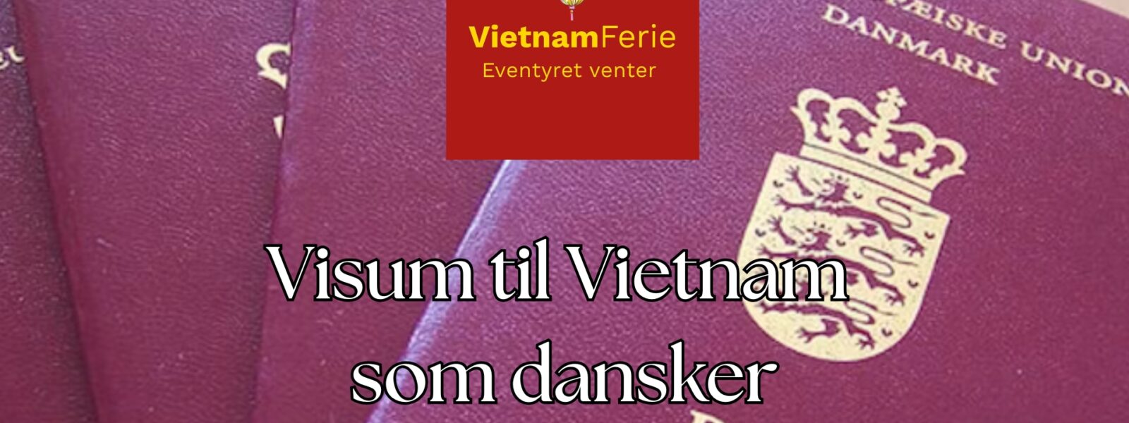 Visum til Vietnam