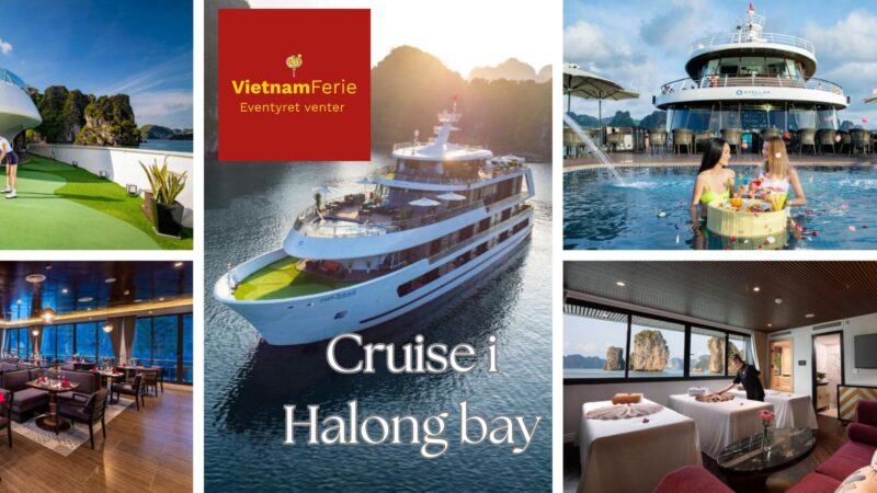 Halong bay cruise