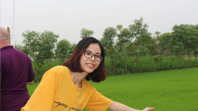 Rismark i Mekong deltaet.