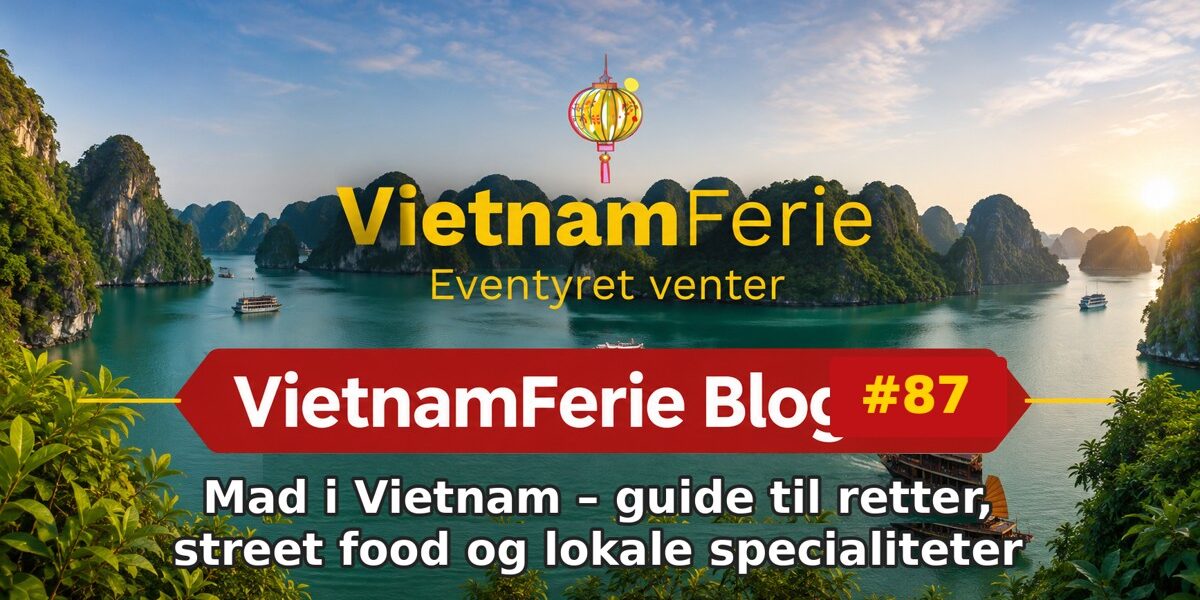 VietnamFerie Blog #87 – Mad i Vietnam – guide til retter, street food og lokale specialiteter